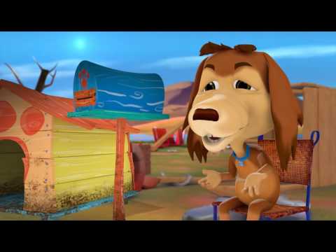 Perro Chocolo-Emociones