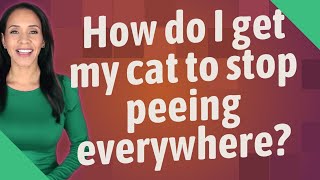 How do I get my cat to stop peeing everywhere?
