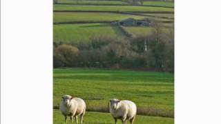 Week 2 Enclosure.wmv