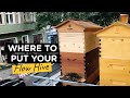 Where to put your bee hive - TheBeekeeper.org