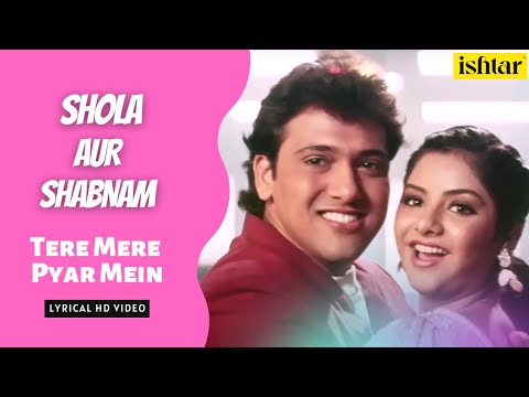 Tere Mere Pyar Mein | Shola Aur Shabnam | Lyrical video | Alka Yagnik | Debashish | Shailendra Singh