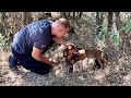 Abandoned Chained Mom With Seven Newborn Puppies Full Rescue
