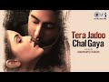 Tera Jadoo Chal Gaya Lofi Mix Abhishek Bachchan Kirti Sonu Nigam K S Chithra Hindi Song