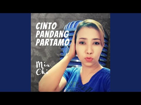 Cinto Pandang Partamo