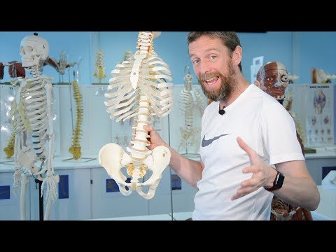 Intercostal neurovascular bundle (anatomy)