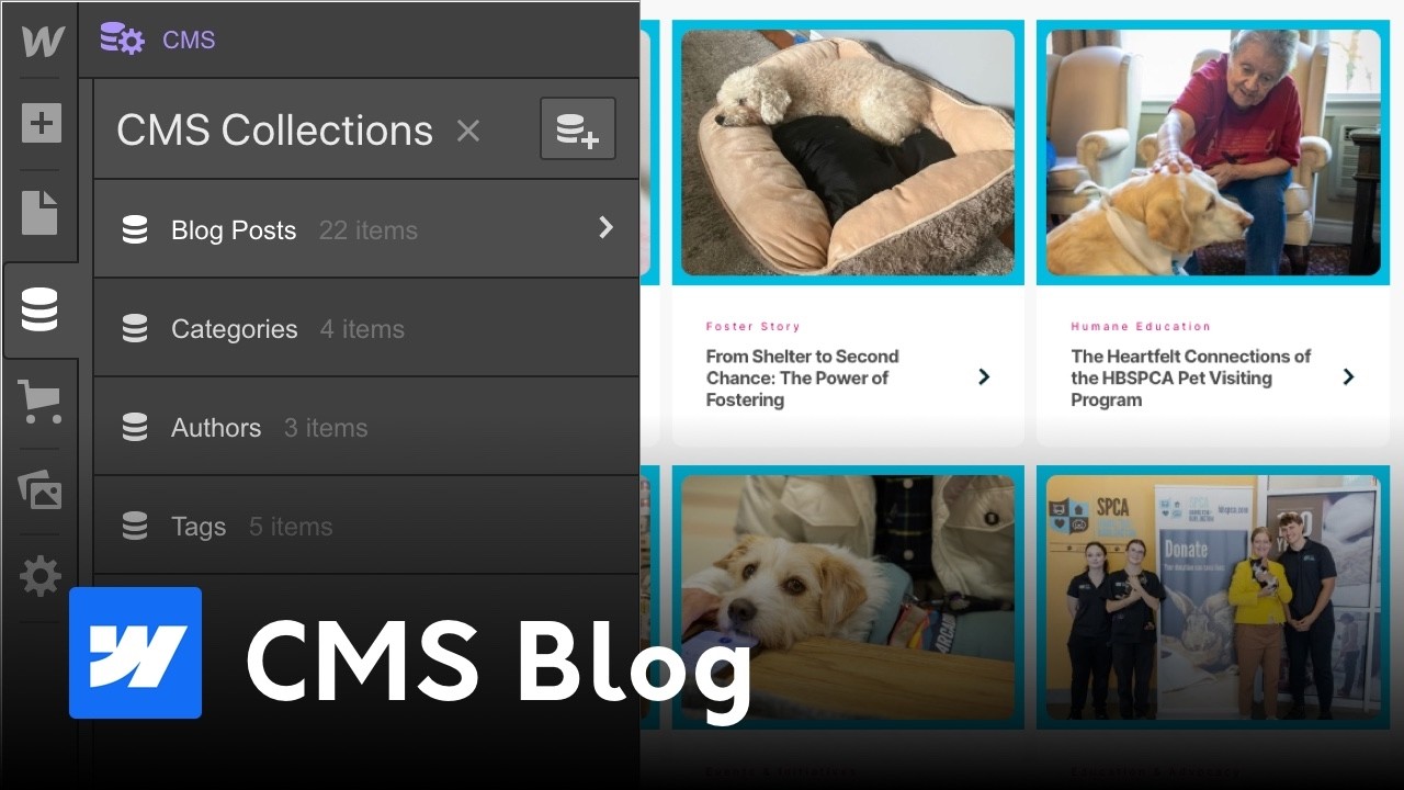 How to Build a Custom Webflow CMS Blog (Full Tutorial 2026)