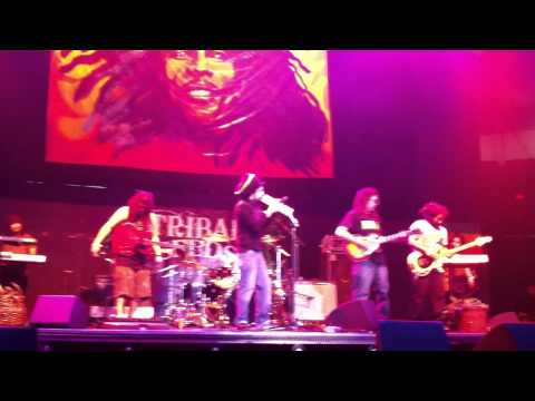 Tribute to the Reggae Legends - Tribal Seeds