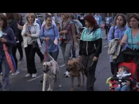 CAMMINATE NOTTURNE A  MONTEMURLO