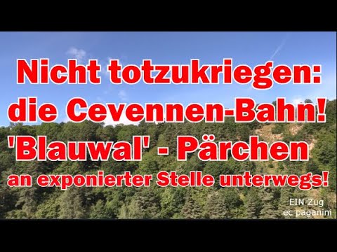 Nicht totzukriegen! Die Cevennenbahn im Massif central- ein "Blauwal" Paar X73500 auf einem Viadukt