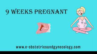 9 Weeks Pregnant - Pregnancy Symptoms, Development, Ultrasound, Belly and Baby