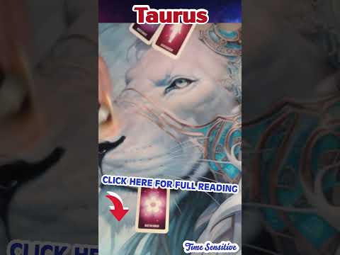 Vídeo: Consulta 8/09: perguntas e respostas sobre a data