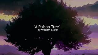 Video 7