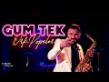 ORK POPELER GUM TEK 2023 Official Video