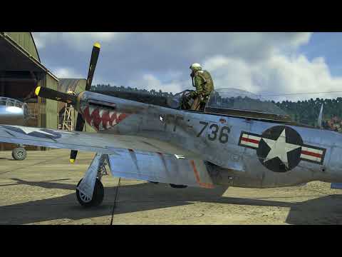 Korea. IL2 Series: Pilot Interaction