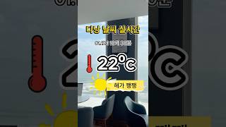 다낭 실시간 1월 12일 #다낭 #다낭날씨