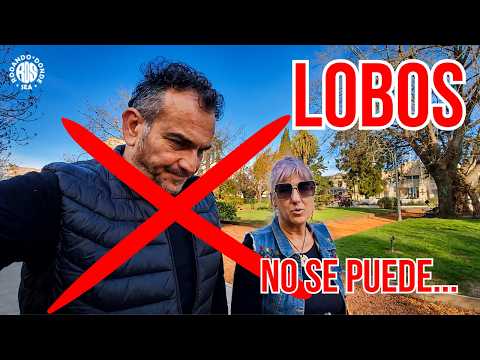 ❌EN LOBOS NO PUDIMOS-Navarro-Lobos Recorriendo la Prov. de Buenos Aires🐕‍🦺Rodando donde Sea🚐🚐
