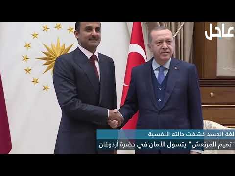 "تميم المرتعش" يتسول الأمان في حضرة أردوغان
