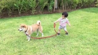 Best Boy Brings Baby on Walk