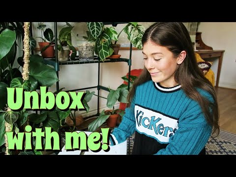 Houseplant Unboxing!! - ARAFLORA