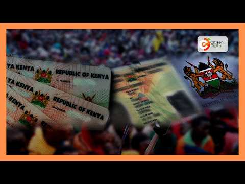 DAY BREAK | IDs For Sale