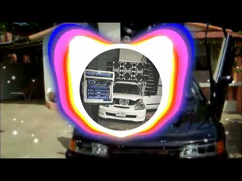 BULIN 47 x MESTIZO IS BACK - 2 Patra y al X:doble tono