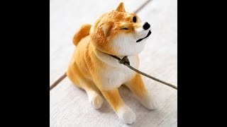 配信テスト中。ぐるぐる即終了