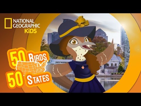 Georgia - Feat. Rapper MC Georgie the Brown Thrasher | 50 Birds, 50 States