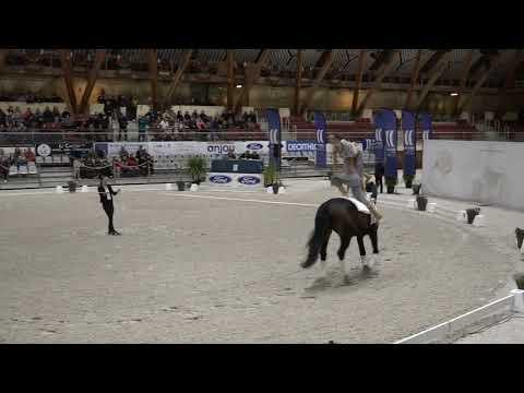 Adele Schroder Sophie Wegener final freestyle