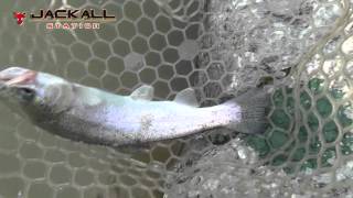 TIMON新製品『デカミッツ Vol.2』実釣編