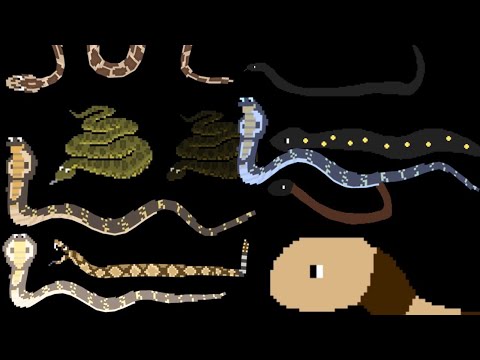 Snakes - Animal series - Cobra,Boa,Python, - @TheKidsPictureShow(MOST POPULAR VIDEO 2024)