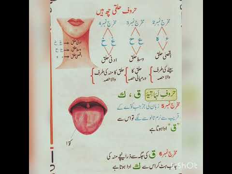 haruf e halqi tajweed#arabicsentences #youtubeshorts #viral#reels