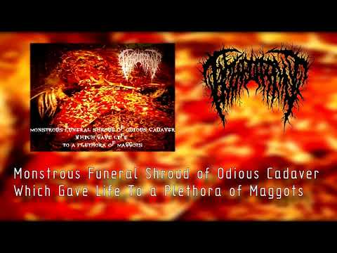 Hymenotomy - "Monstrous Funeral Shroud of Odious Cadaver Which..." (2020 Single | NSE)
