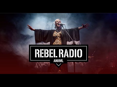 ANIIML! How to focus on creativity // EP152