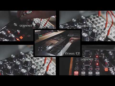 Moog Subharmonicon MultiTrack Demo