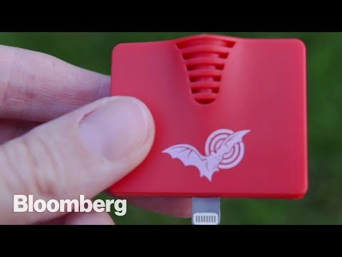 這款蝙蝠定位應用將讓你成為公民科學家。 (This Bat Locator App Will Make You a Citizen Scientist)