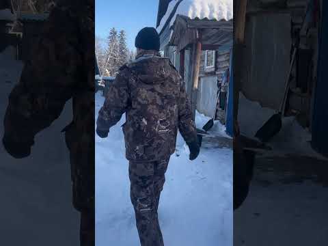 Осторожно! Злая собака😃