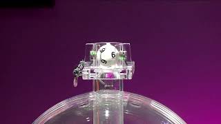 Daily 3 Daily 4 Evening Lottery Drawing: August 30, 2026