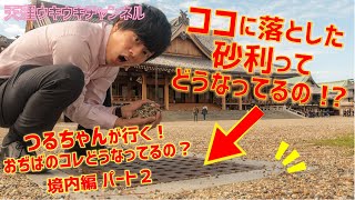 天理　境内地の砂利って落としたらどうなるの！？