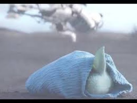 Baby Yoda Captured by Storm Trooper - Baby Yoda 1X07