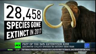 The # of Species that Have Gone Extinct This Year