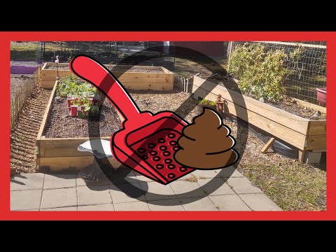 How to Keep Cat Poop OUT of the Garden
