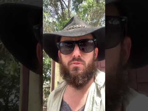 How we keep our 70 huskies happy and cool in summer