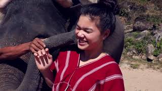 CHA CHA RAK CHANG (Cha Cha Loves Elephants)