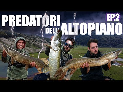 SFIDIAMO LA TEMPESTA a PESCA di LUCCI: SPINNING TOP WATER in un LAGO PAZZESCO a 1150M di ALTITUDINE!