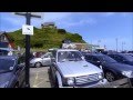 Seaside Seagull Squabble
