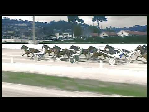 Trotto 01/03/2020 - 5ª corsa