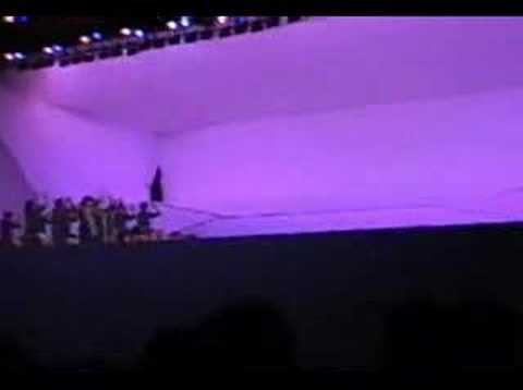 sinapzia brasil domingo 10-12-06