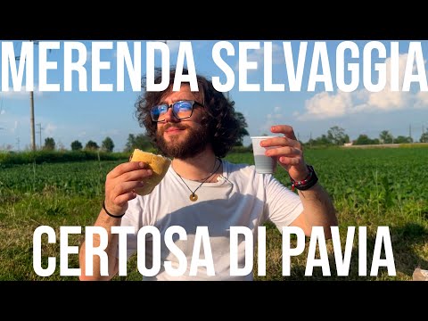MERENDA SELVAGGIA alla CERTOSA DI PAVIA