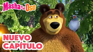 Masha y el Oso 💥 Nuevo capítulo 🌿🏡 Felizmente Emplumada 🎬 Сolección