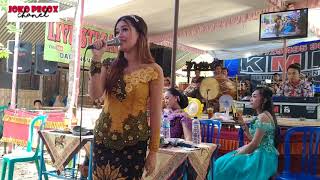 Download lagu Terbaru KMB Gedrug Sragen. RA BAKAL NGIWO, . Cover Levy Berlia mp3 Download lagu Terbaru KMB Gedrug Sragen. RA BAKAL NGIWO, . Cover Levy Berlia mp3